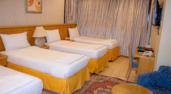 Sadan Plaza Hotel image 2